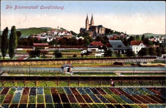 Ak Quedlinburg in de Harz, bloemenstadlandschap met velden en kerk,