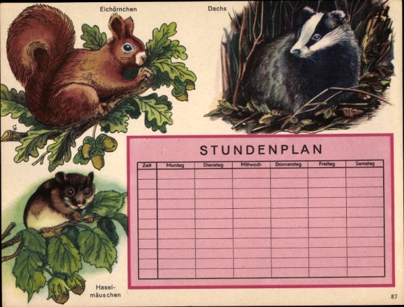 Timetable Schloß-Apotheke Marktoberdorf, animals, squirrels, dormouse, badger around 1960