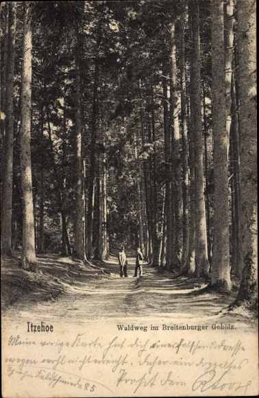 Ak Itzehoe in Holstein, Waldweg, Breitenburger Gehölz