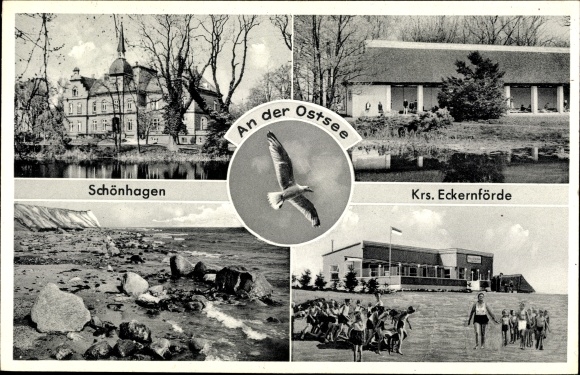 Ak Ostseebad Schönhagen, Möwe, Strandpartie, Schloss
