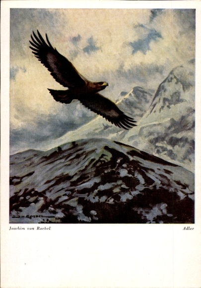 Artist Postcard by Roebel, Joachim, Flying Golden Eagle in the Mountains