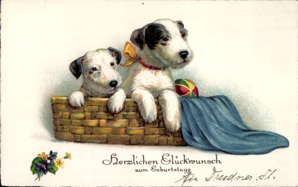 Happy Birthday, Two dogs in a basket