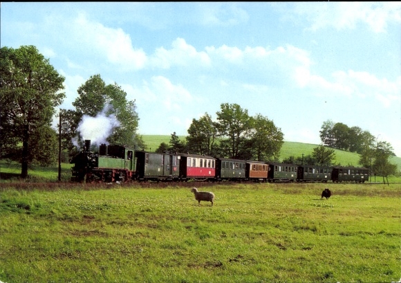 PC Berbisdorf Radeburg Saxony, traditional train Wiesental Promnitz, sheep