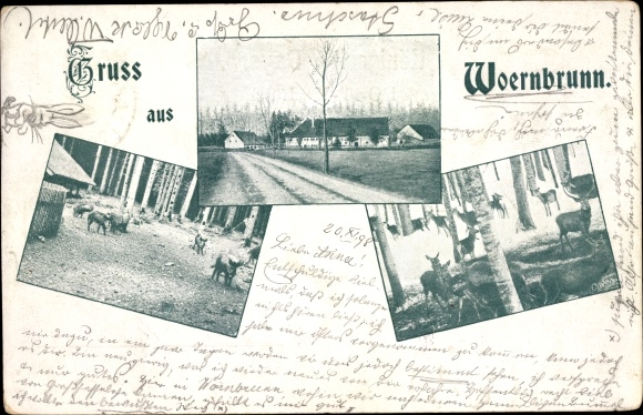 Postcard Wörnbrunn Grünwald in the district of Munich Upper Bavaria, part of the way, wild boar, deer
