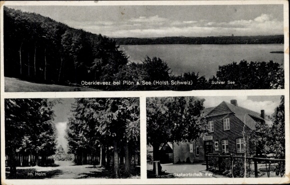 Ak Plön am See Holstein, Oberkleveez, Suhrer See, Gastwirtschaft Fay, Waldlandschaft