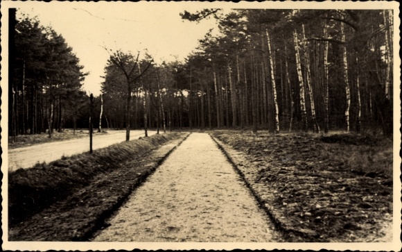 Photo Postcard Zerbst in Anhalt, cyclist street, road construction