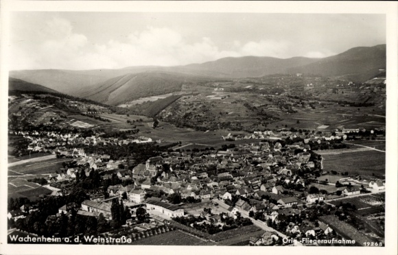 Wachenheim an der Weinstraße Pfalz, aerial photograph