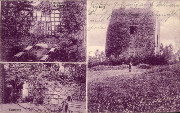 Ak Preußisch Oldendorf in Westfalen, Forsthaus Limberg, Alte Burg, Eselsburg