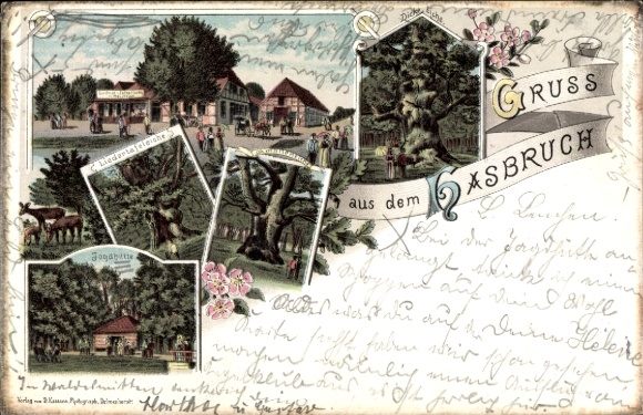 Chromo-Litho Hude in Lower Saxony, Hasbruch, Gasthaus zum Falkenburg by Neumeyer, trees, thick oak