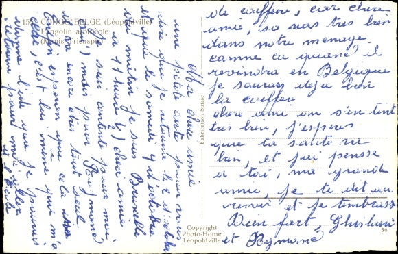 Postcard Kinshasa Léopoldville DR Kongo Zaire, Tree Pangolin