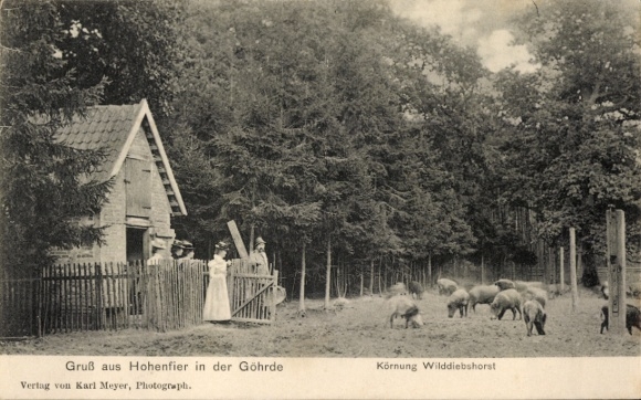 Postcard Hohenfier Himbergen in the Lüneburg Heath, graining Wilddiebshorst