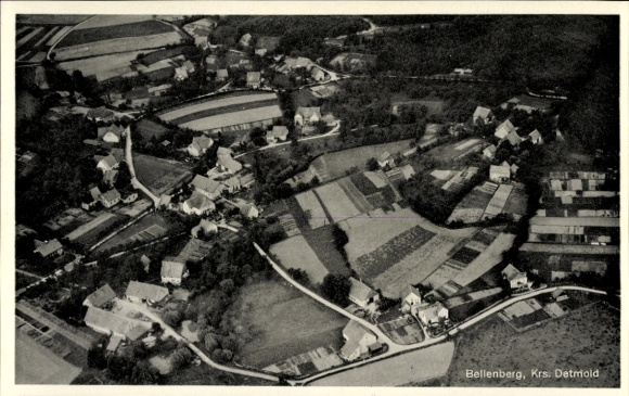 Ak Detmold in Nordrhein Westfalen, Luftaufnahme von Bellenberg, ländliche Umgebung, Felder, Häuse