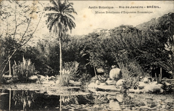 Postcard Rio de Janeiro Brazil, Jardin Botanique, Brazil, plants, water, nature