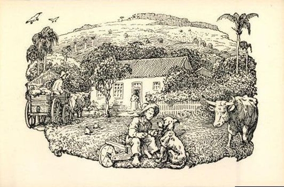 24 PCs in the envelope O Colono No Rio Grande DO Sul, The Farmer, Jose Lutzenberger
