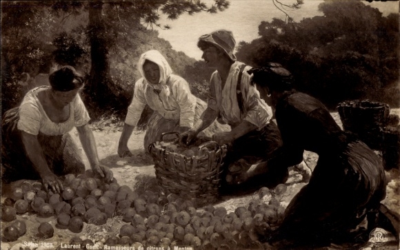 Ak Triest Trieste Friuli Venezia Giulia, Frauen bei der Ernte