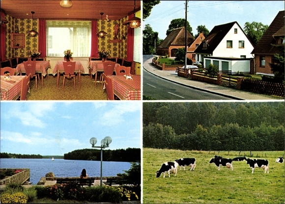 Postcard Salem near Ratzeburg, cows in the pasture, lake view, holiday farm, dining room