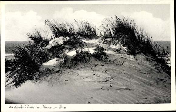 Ak Baltrum, duinen aan zee