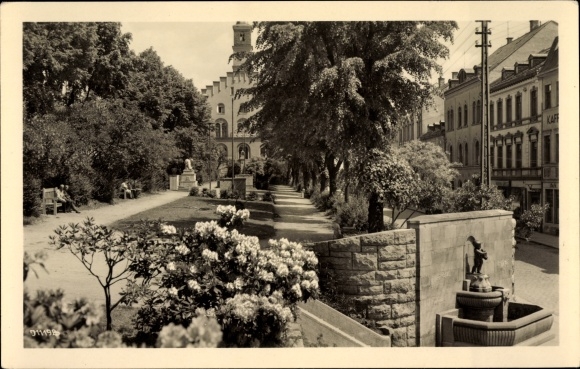Postcard Markneukirchen im Vogtland, partial view, fountain, park