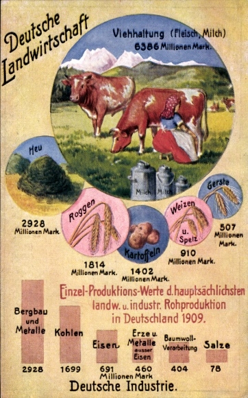 Postcard German Agriculture, Livestock Farming, Industry, Statistics, Economic Truths