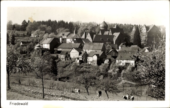 Postcard Friedewald Westerwald, general view