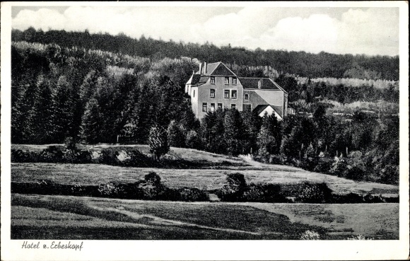 Postcard Deuselbach im Hunsrück, Hotel zum Erbeskopf, forest