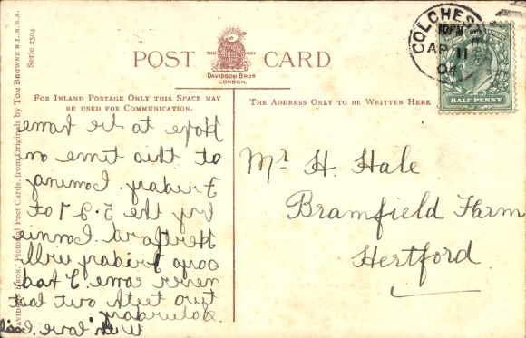 Artist Postcard Browne, Tom, Cricket Phrases Illustrated, a Good Stumper