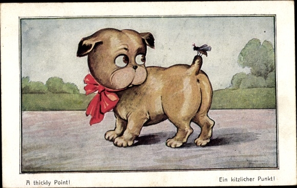 Postcard A ticklish point fly sits on the tail of a small dog