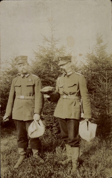 Photo Postcard German soldiers in uniform, Landwehr, picking mushrooms