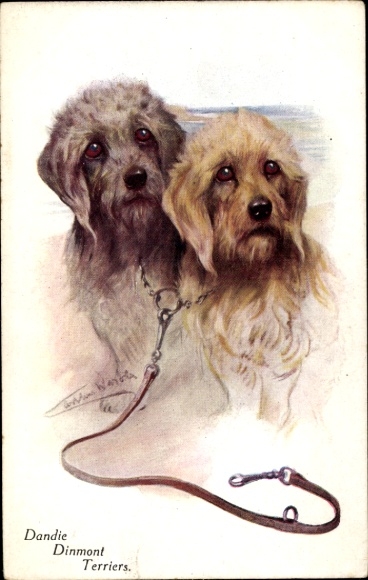 Artist PC Dandie Dinmont Terrier
