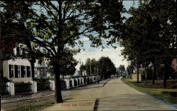 Postcard Zetel in Oldenburg Friesland, Urwaldstraße