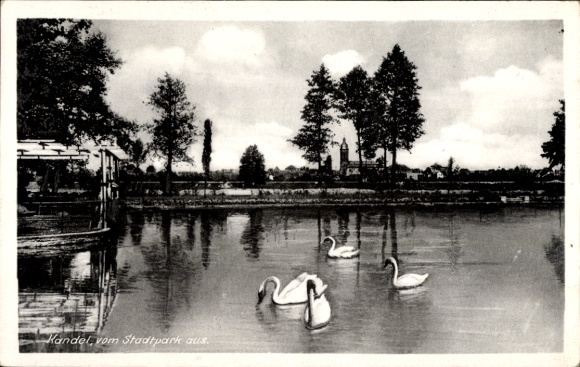 Postcard Kandel in the Palatinate Bienwald, Kandel from the city park, pond, swans, trees, church