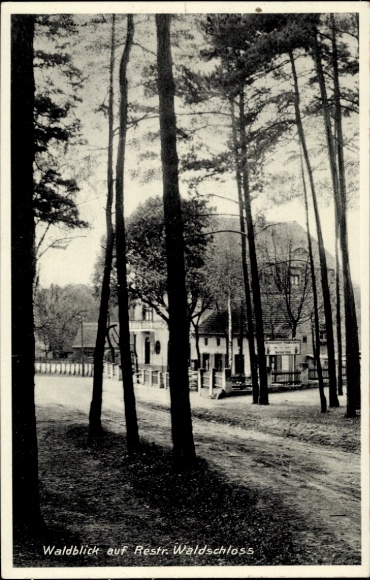 Ak Birkenwerder in Brandenburg, Waldblick, Restr. Waldschloss, Bäume, Gebäude, Weg