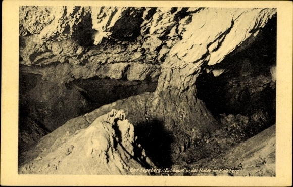 Postcard Bad Segeberg in Holstein, oak tree in the cave in Kalkberg