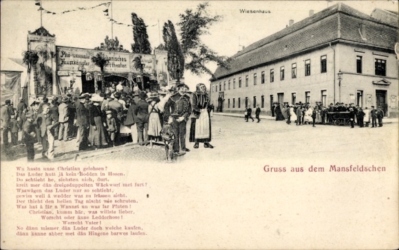 Ak Mansfeldschen im Harzvorland, Wiesenhaus