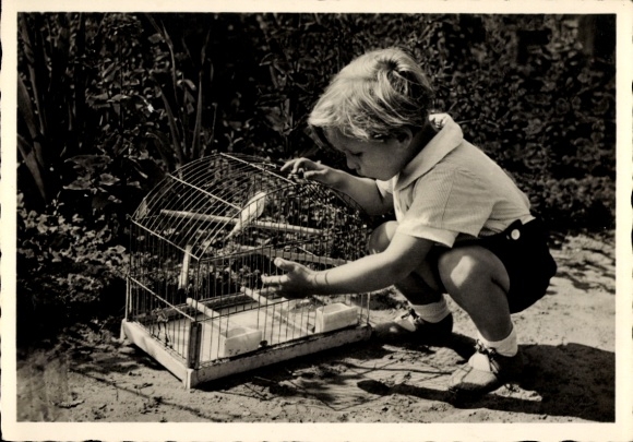 Photo Postcard small child at the birdcage, budgie