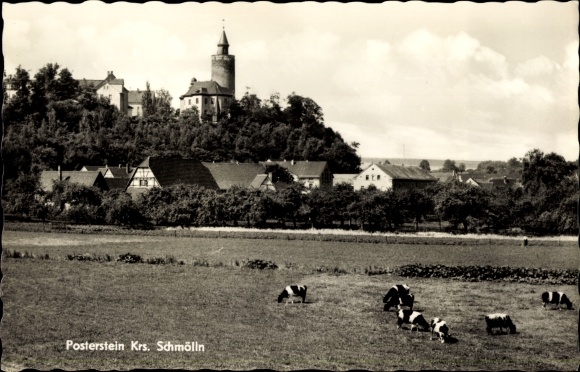 Postcard Posterstein in the Altenburger Land, Posterstein Castle, town view, grazing cows