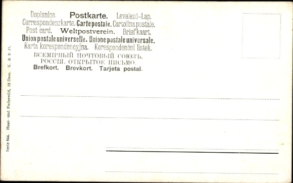 Artist Postcard Müller, jun., Feathered Game, Hunting Scene, Pheasants