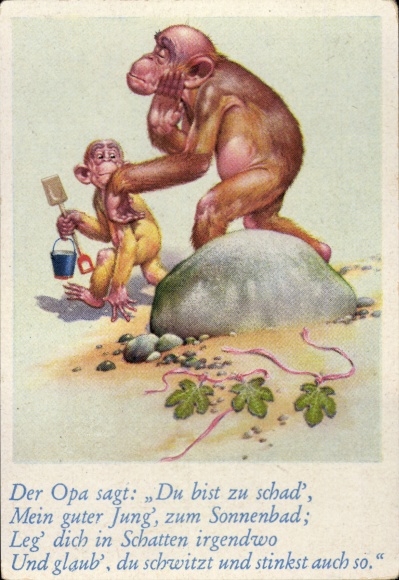 Collector's picture funny pictures No. 68, orangutans on the beach