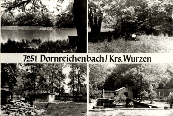Ak Dornreichenbach Lossatal Saksen, vierdelige landschapsfoto, water, weide, bomen, gebouwen