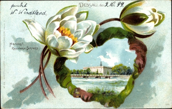 Water lilies litho Dessau, Ducal Residence Palace