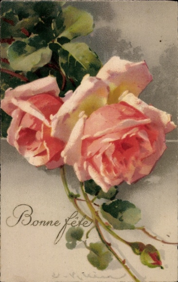 Artist Postcard Catharina Klein, Congratulations, Pink Roses, Dewdrops