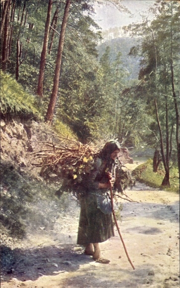 KP Wienerwald Dolna Austria, Peilstein, Cimone, kobieta z drewnem, las, ścieżka, laska, natura