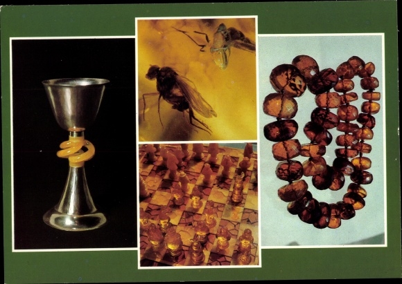 Ak Ribnitz Damgarten in Mecklenburg Vorpommern, barnsteenmuseum, beker, ketting, schaakspel