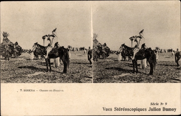 Stereo Postcard Biskra Algeria, Hunting with Falcons