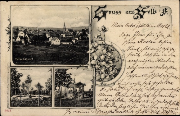 Ak Selb in het Fichtelgebergte in Opper-Franken, algemeen beeld, Luitpoldhöhe, paviljoen