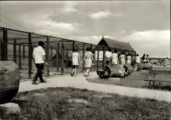 Postcard Groß Stieten in Mecklenburg, VEG animal breeding, restaurant Mecklenburger Mühle, animal enclosure