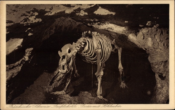 Postcard Pottenstein in Upper Franconia, devil's cave, skeleton of a cave bear