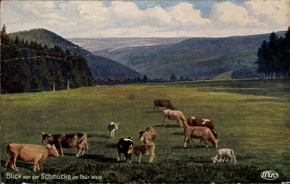 Artist Postcard Gehlberg, Schmücke in the Thuringian Forest, Sachsenstein, Wiro, cows grazing