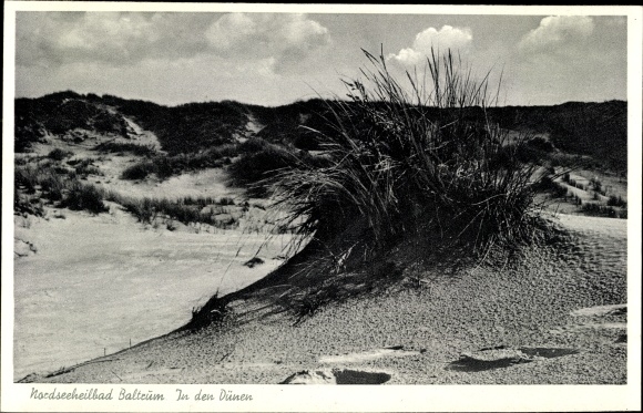 Postcard Insel Baltrum in Ostfriesland, dunes