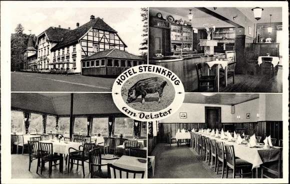 Postcard Bennigsen Springe am Deister, Hotel Steinkrug am Deister, exterior and interior views, wild boar